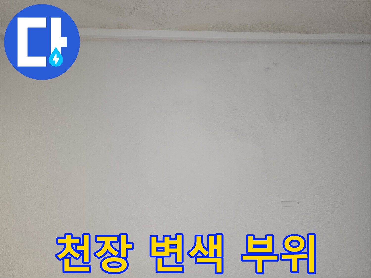 천장 몰딩 주변에 발생한 누수 흔적과 얼룩 부위