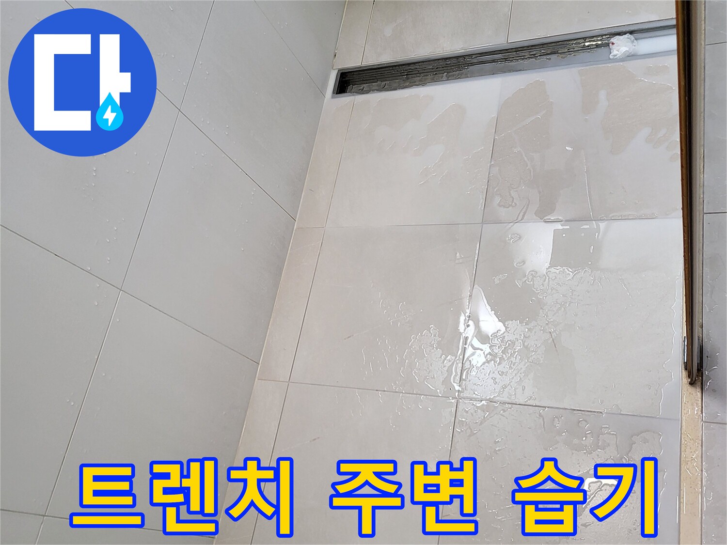 욕실-배수구-트현치-주변-타일-습기-상태