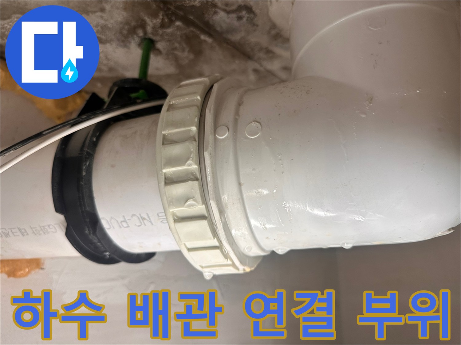 하수-배관-연결-부위의-미세한-틈새와-습기-확인