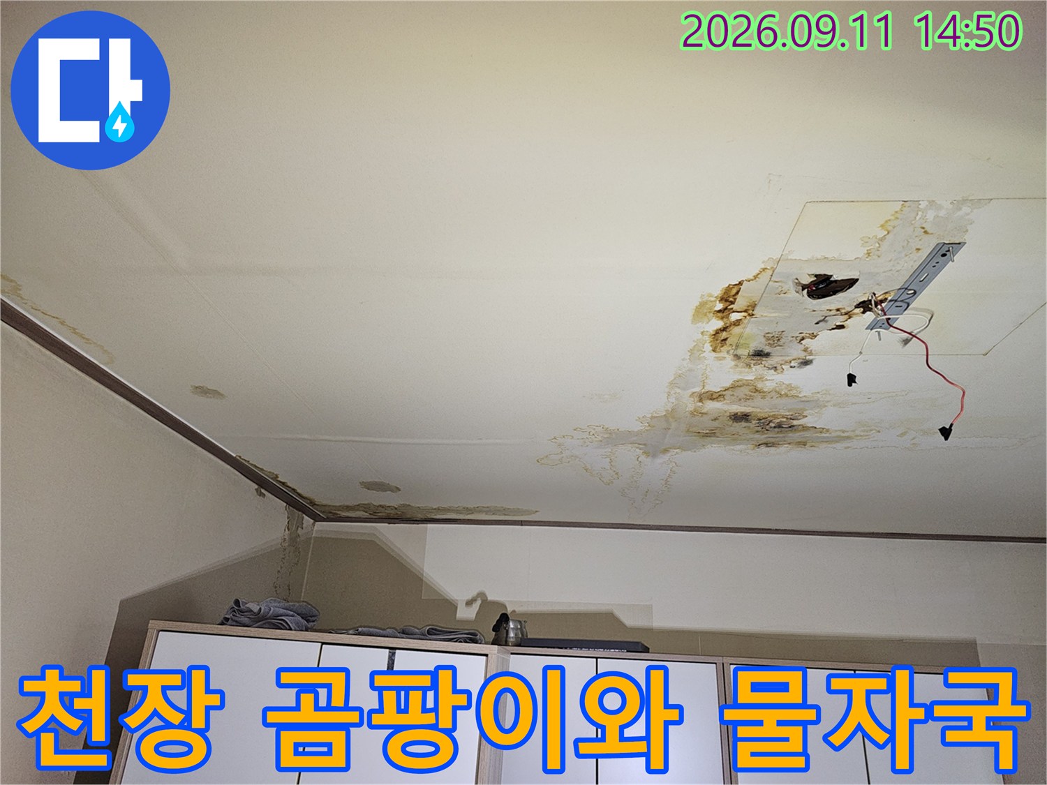 천장 마감재 곳곳에 퍼진 갈색 누수 얼룩과 습기 흔적