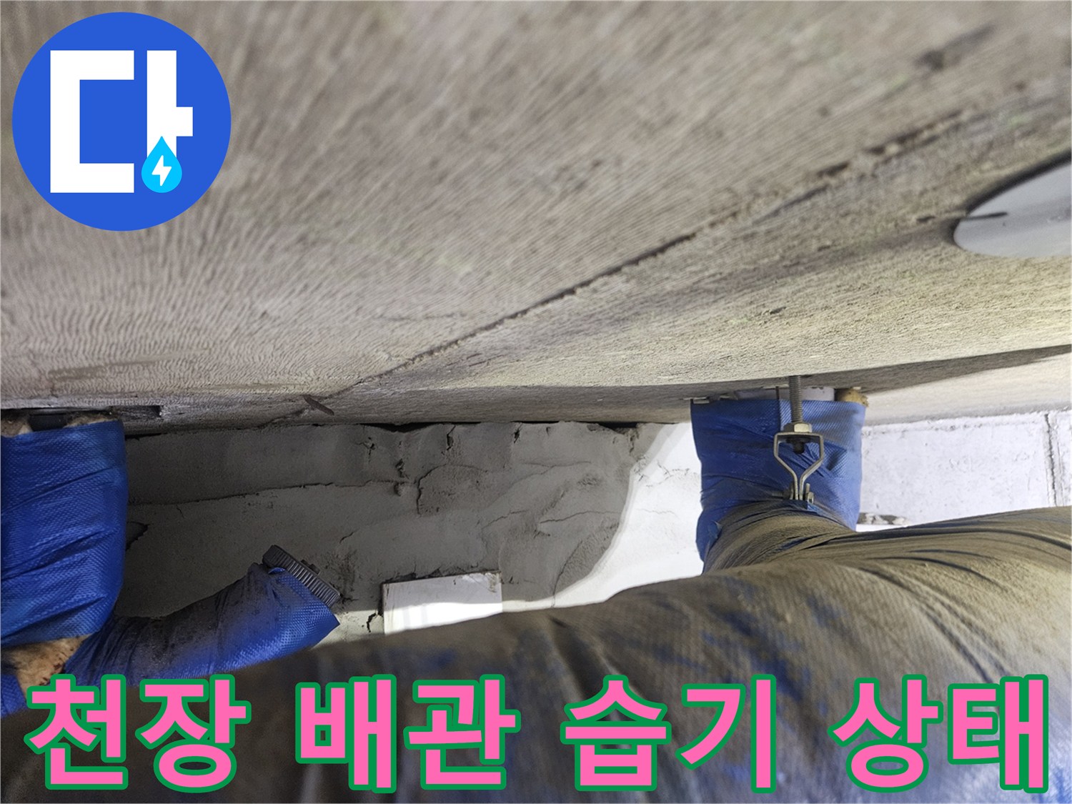 일산동구-장항동-아랫집-천장-배관-주변-습기-상태-사진