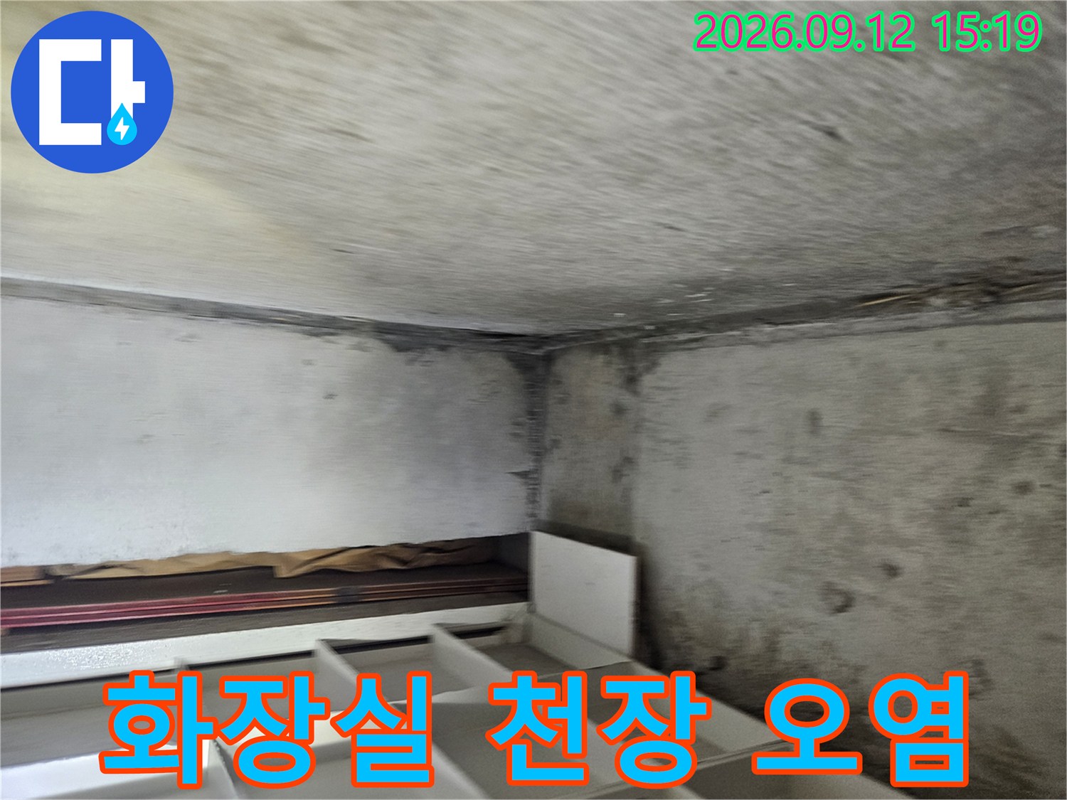 장항동 현장-누수로 인해 곰팡이가 심하게 발생한 천장 내부