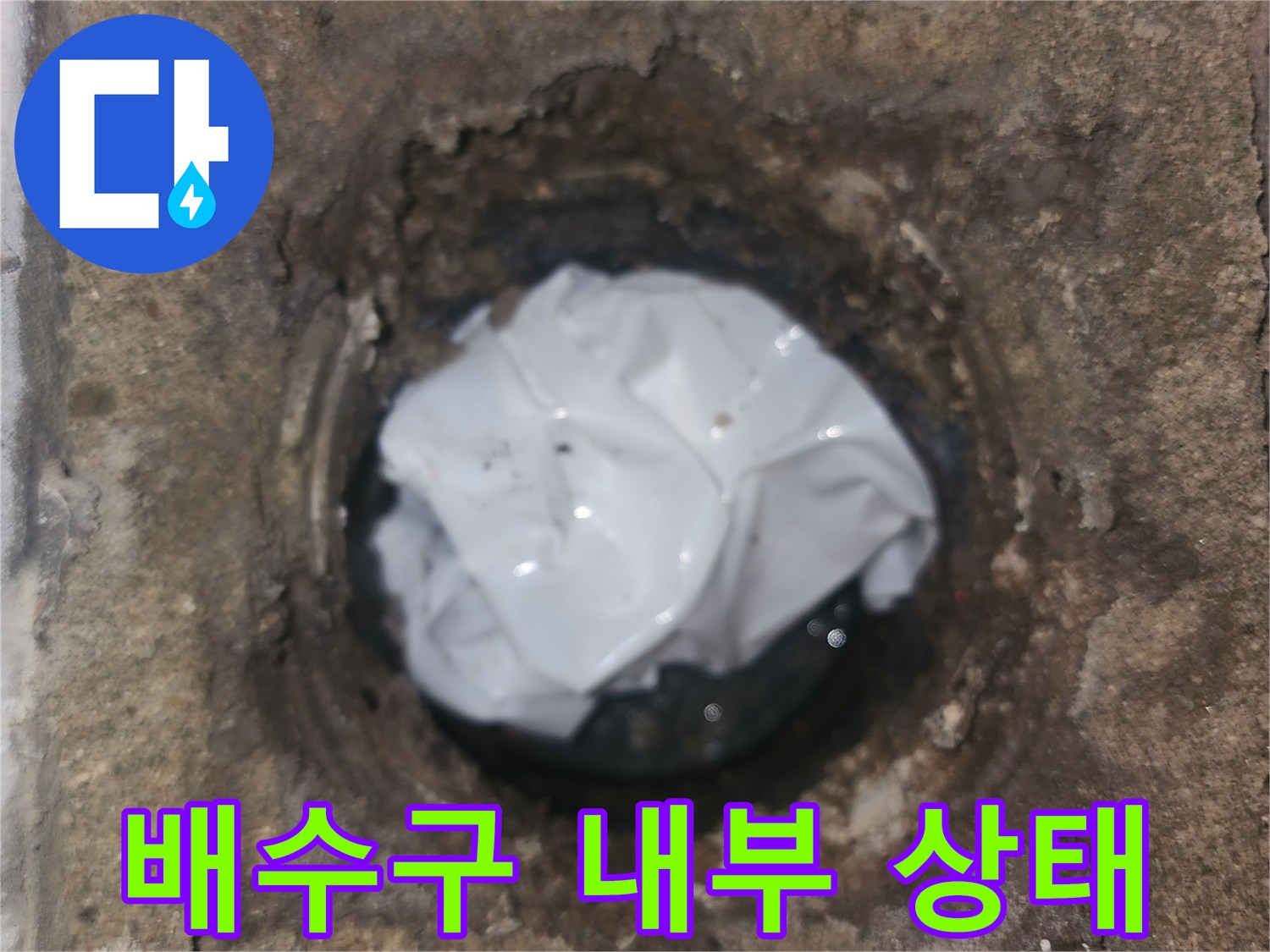 세탁실 배수구 유가 탈거 후 내부 오염된 모습