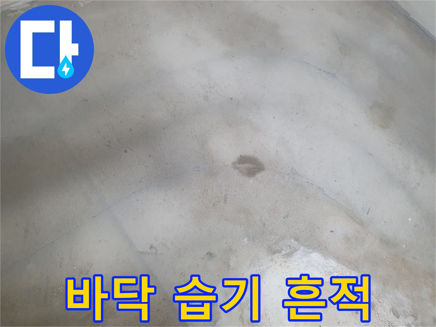 습기가 스며든 바닥면-변색된 균열 부위 사진
