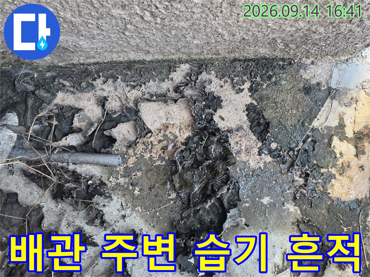 물에 젖어 변색되고 갈라진 배관 연결부의 외벽 마감재