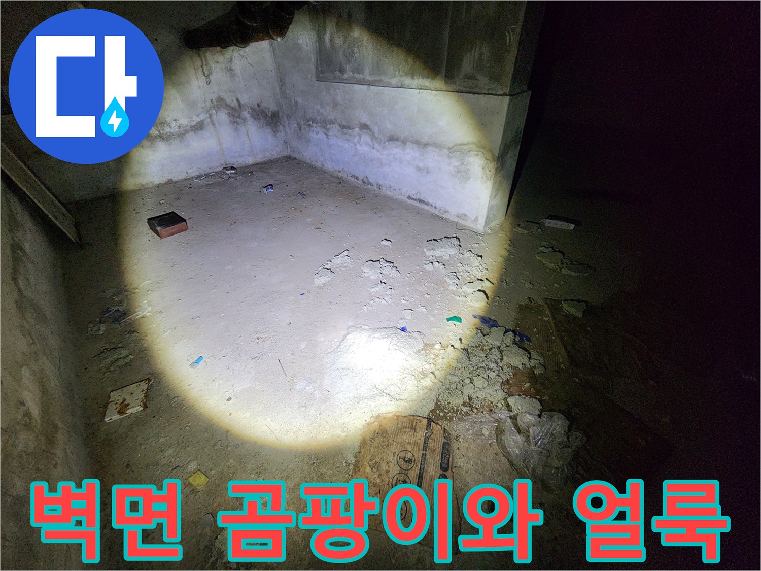 습기로 인해 곰팡이가 발생하고 얼룩진 지하 창고 벽면