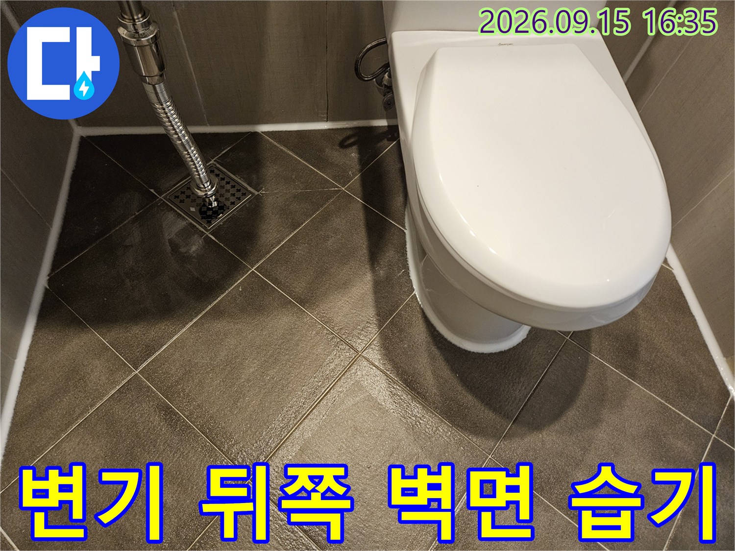 변기 뒷벽 타일-물기가 스며든 타일 줄눈 부위를 클로즈업한 사진입니다.