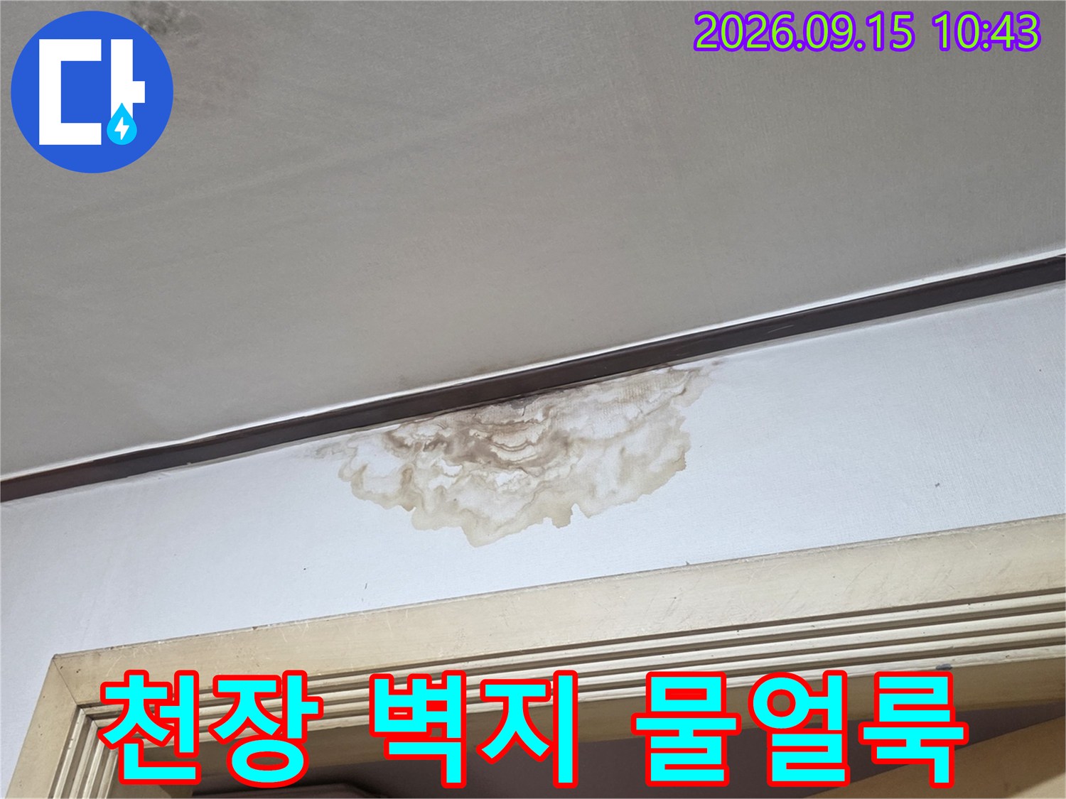 서초구 양재동 현장의 천장 벽지 누수 얼룩 상태