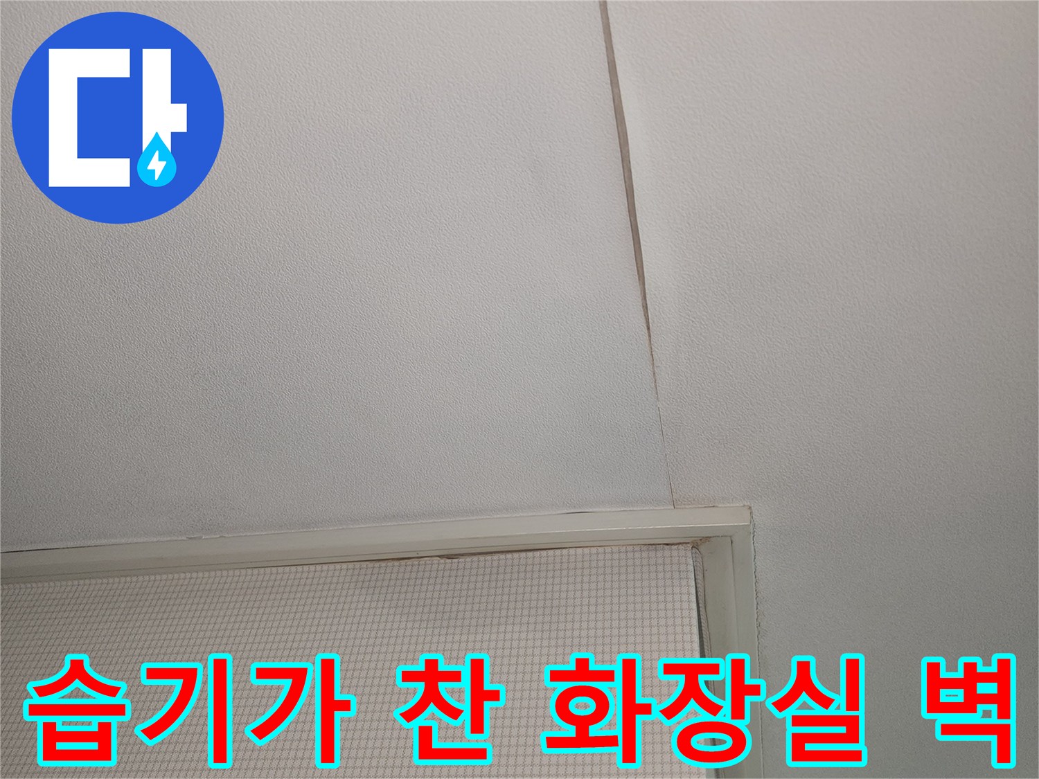 은평구 녹번동-물기가 배어 나온 화장실 벽면 부위