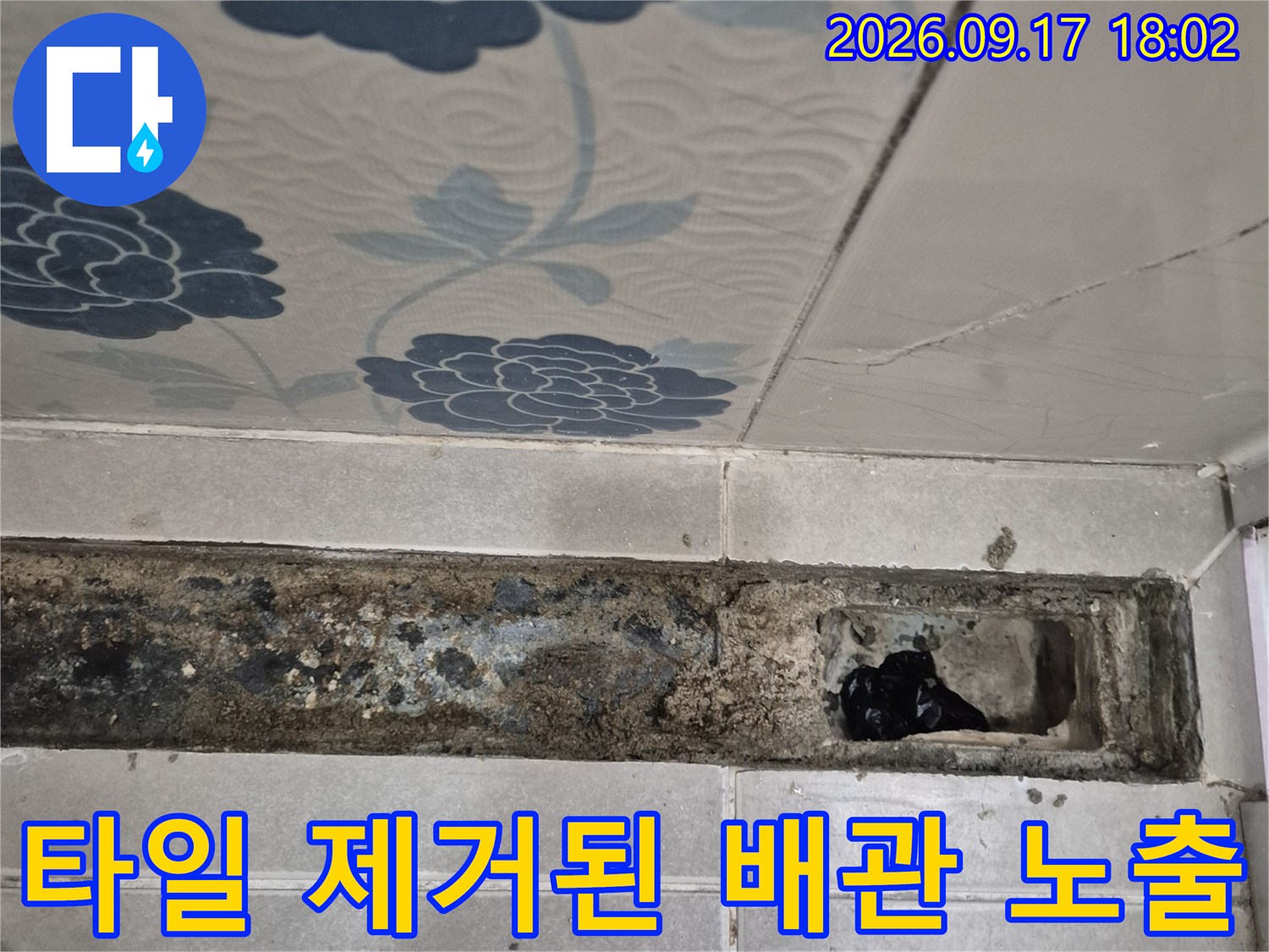 반송동 현장-배수구 하단 타일 제거 후 드러난 오염된 배관 부위