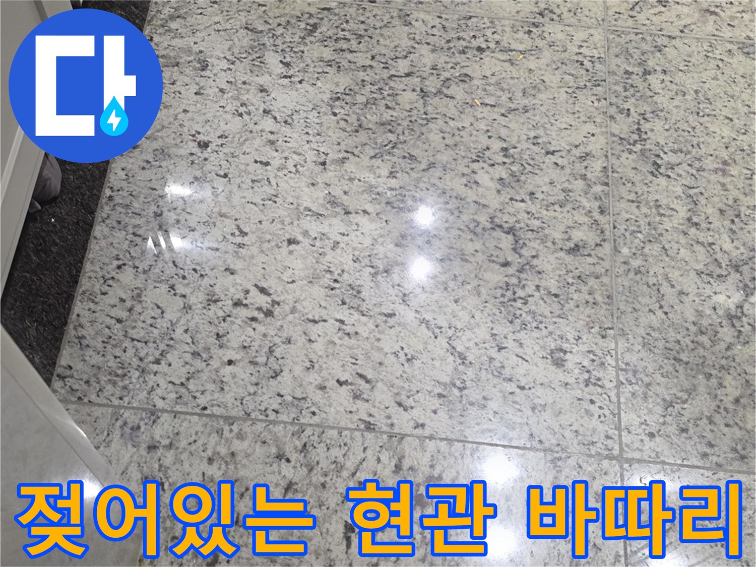 습기가 머금어진 현관 바닥재 모습-누수 진단 현장